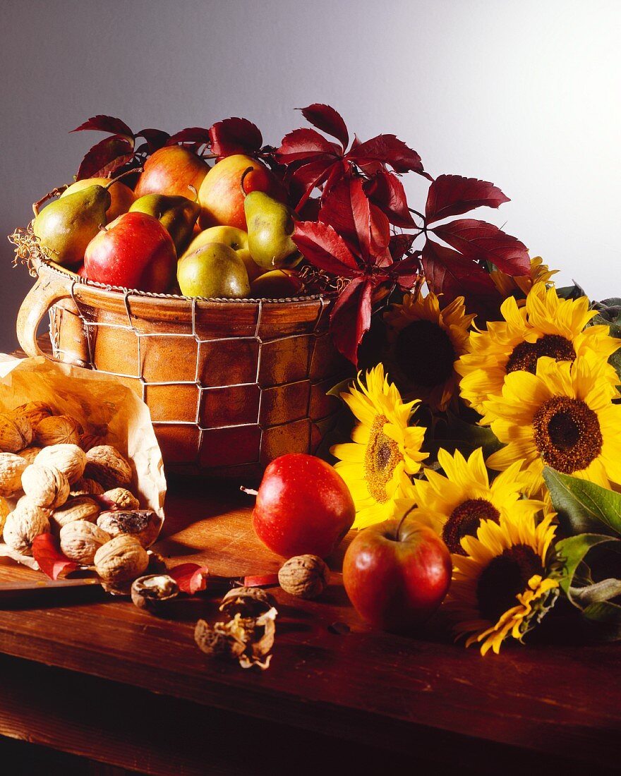 Herbststilleben mit Obst (Äpfel,Birnen,Nüsse) & Sonnenblumen