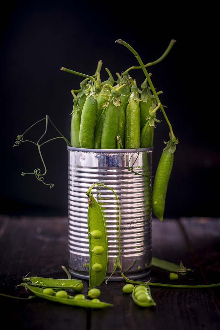Green Pea Pods in a Metal Tin