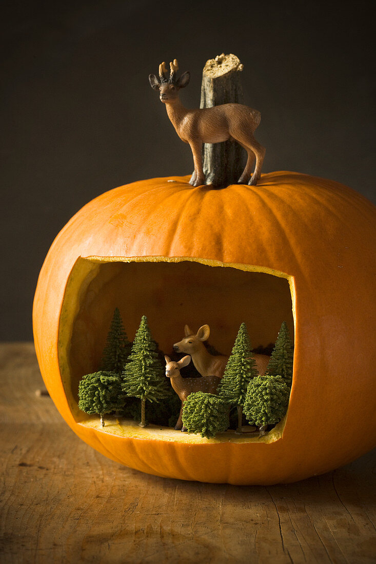 Miniature forest with animals in hollowed-out pumpkin