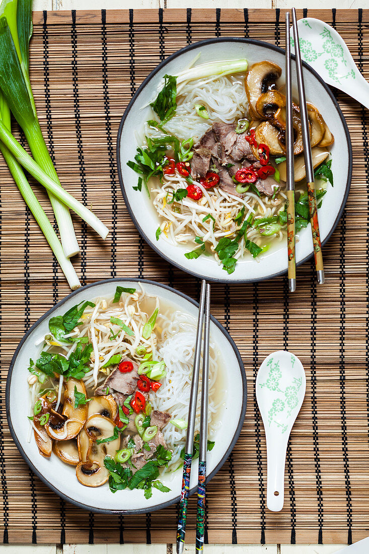 Pho with mung bean germlings, spring onions, chilli, mushrooms and beef (Vietnam)