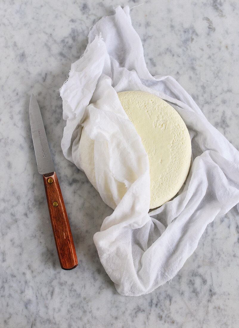 Paneer – Indian cream cheese