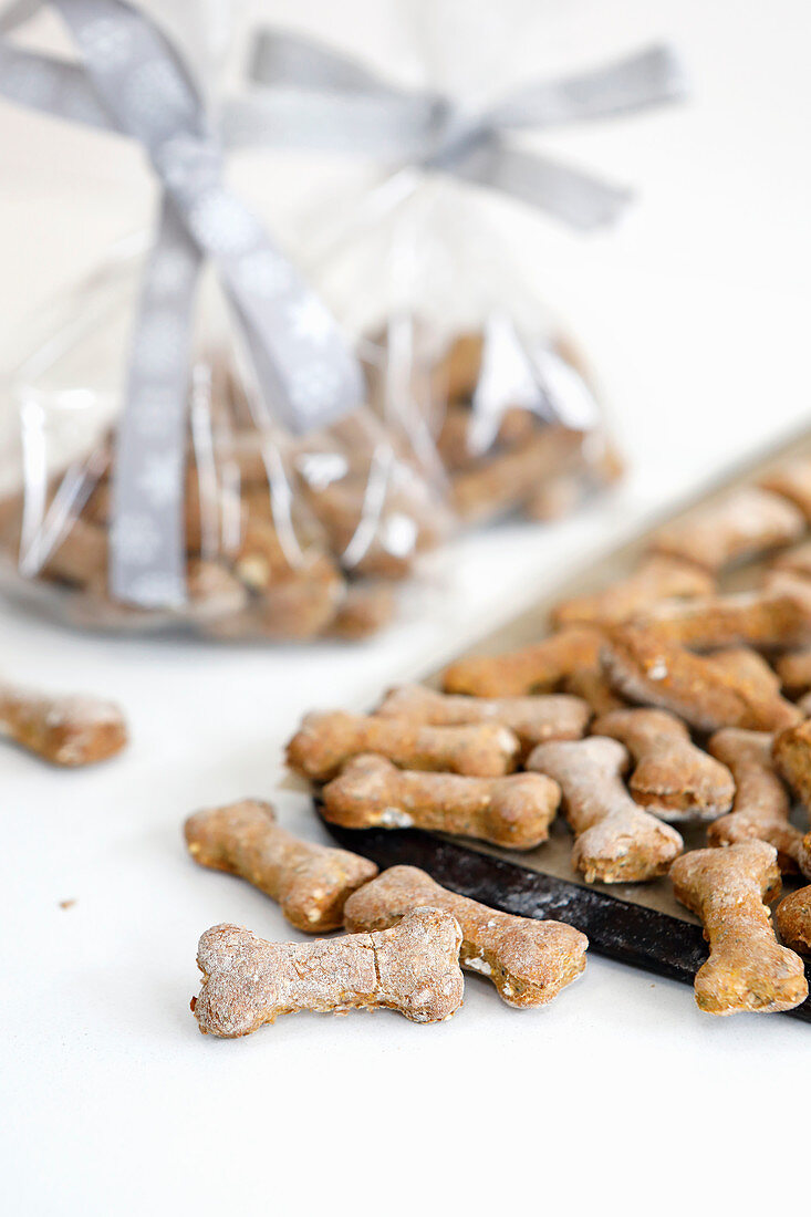 Anchovy and squash dog biscuits, shaped as bones