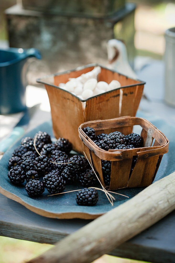 Fresh blackberries