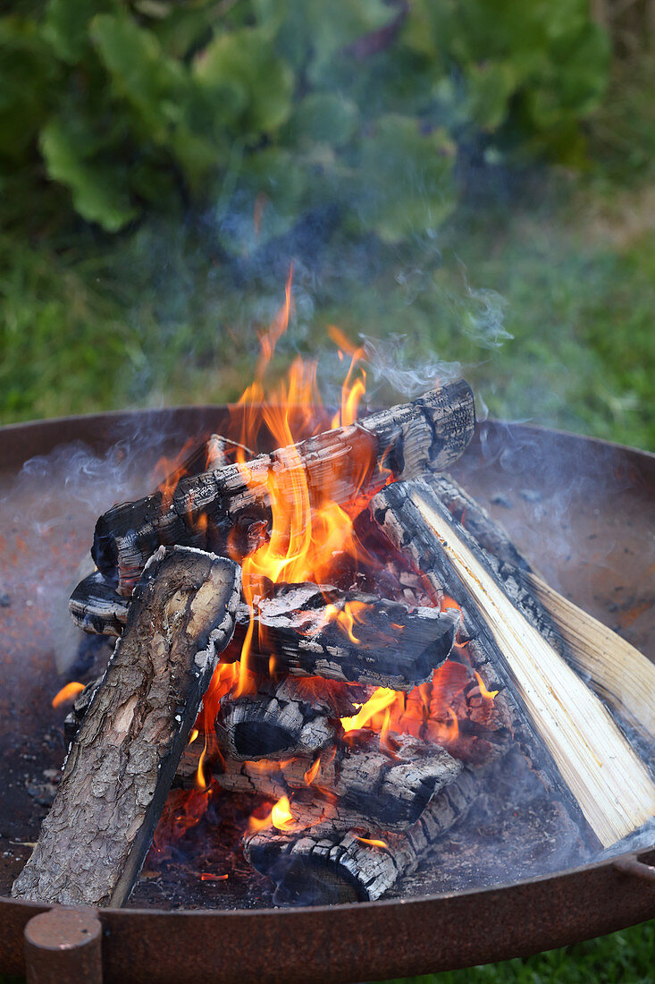 Flaming campfire