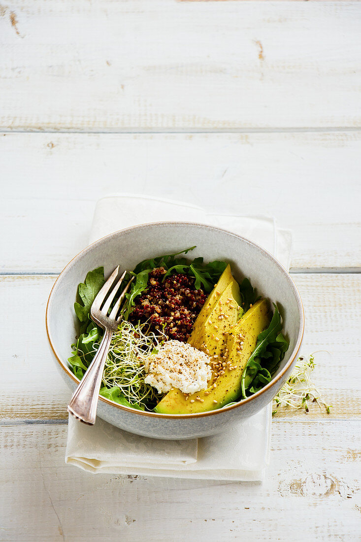 A lunch bowl with quinoa, avocado, ricotta, rocket and beansprouts