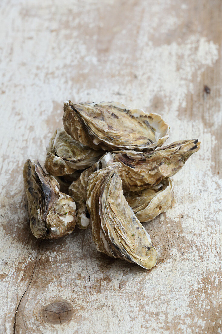 Fresh oysters on a wooden surface