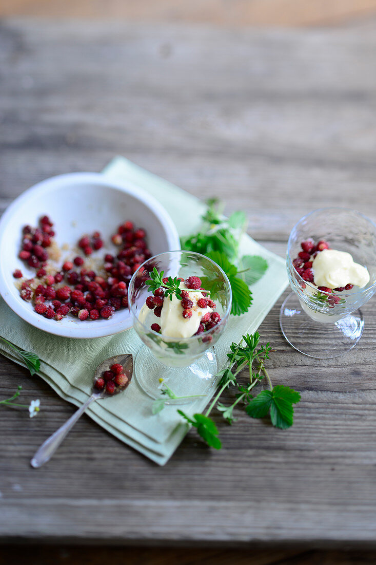 Waldmeistergelee mit Walderdbeeren und Vanillecreme