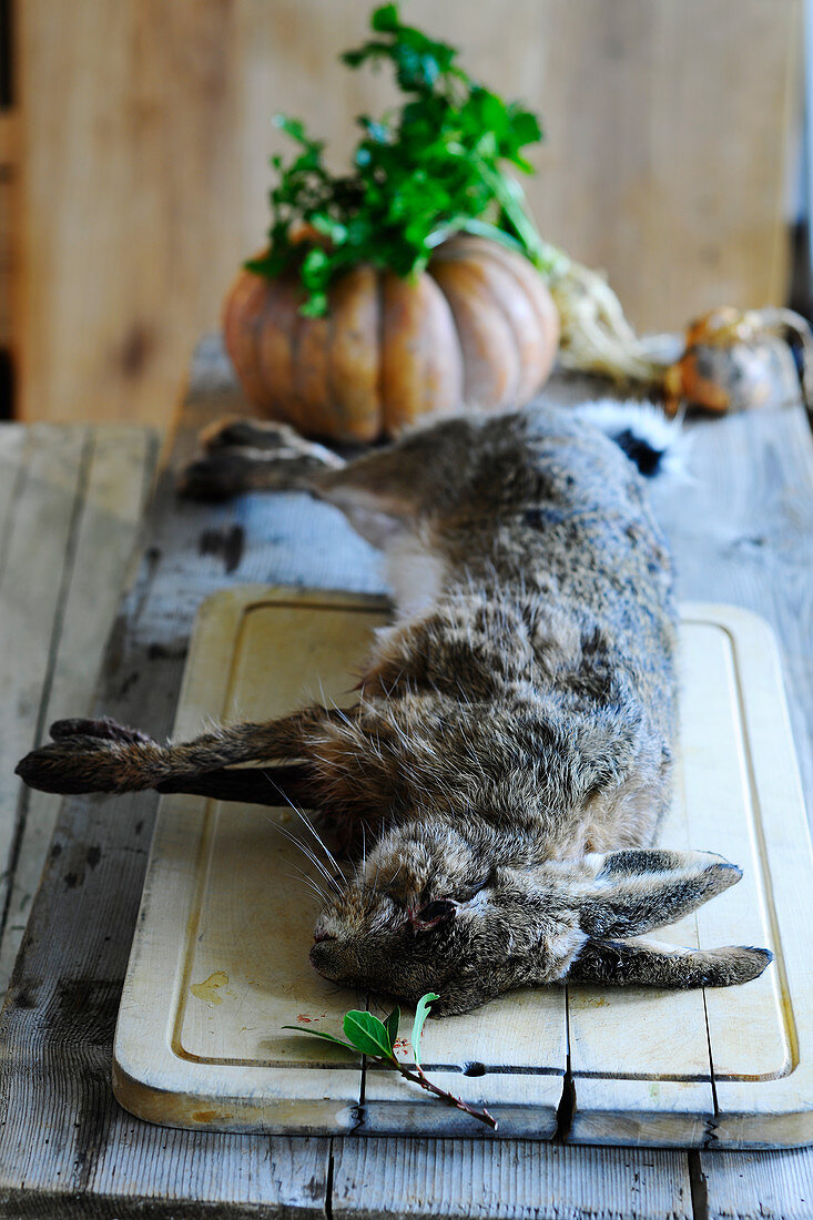 A still life with a rabbit on a wooden board