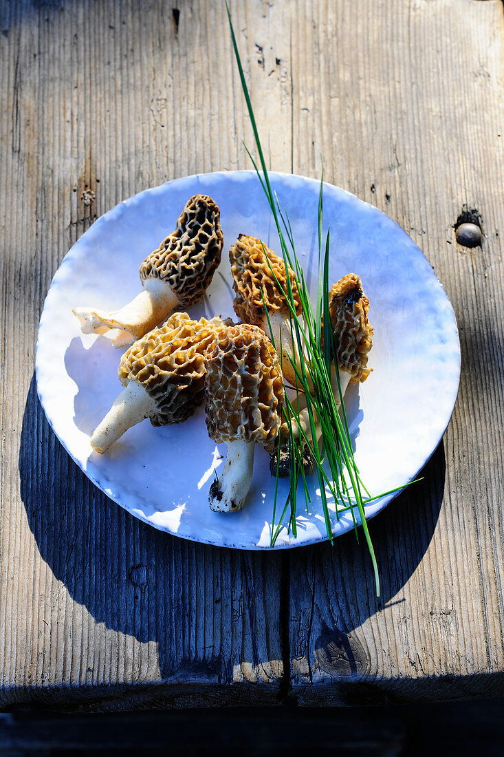 Fresh morel mushrooms on a plate