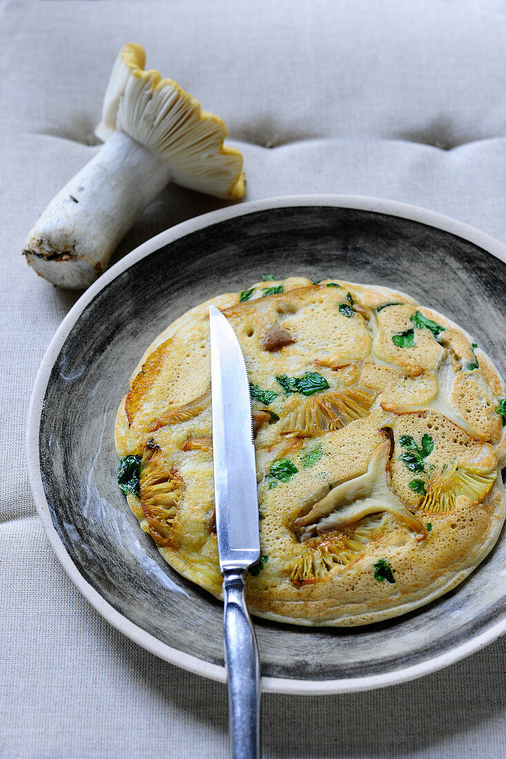Pilz-Omelette mit Ockertäublingen