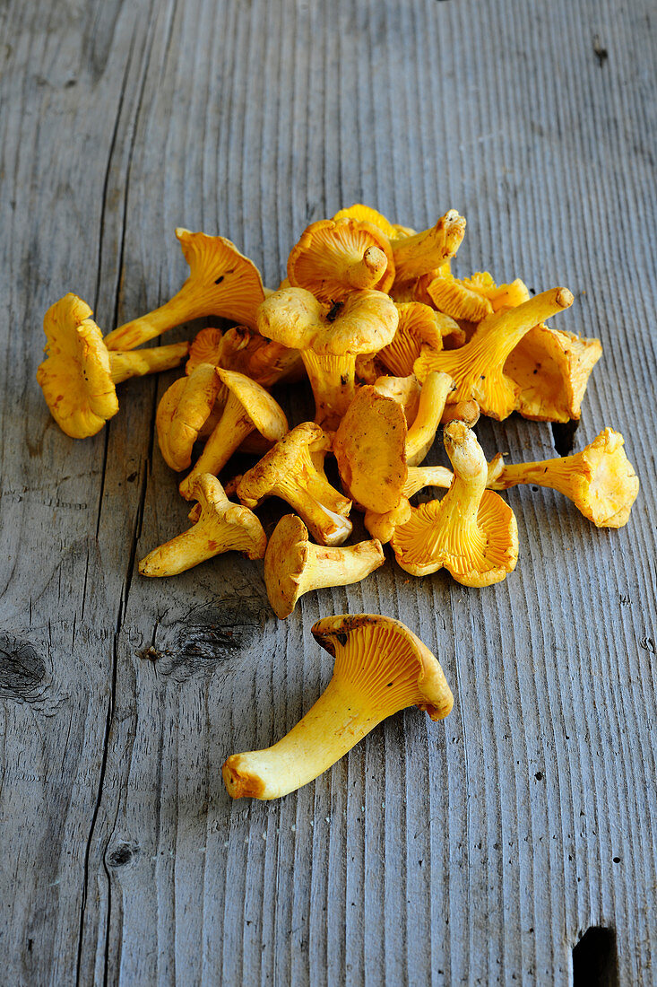 Fresh chanterelle mushrooms on a wooden surface