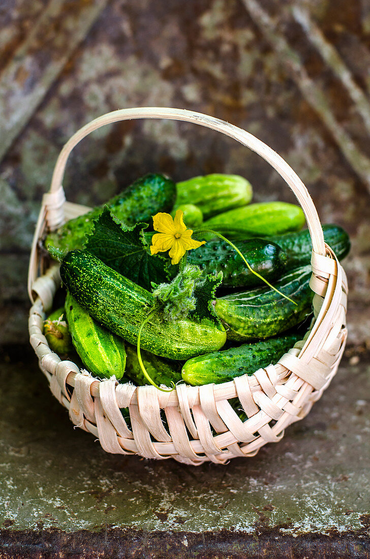 Cucumbers in the basket