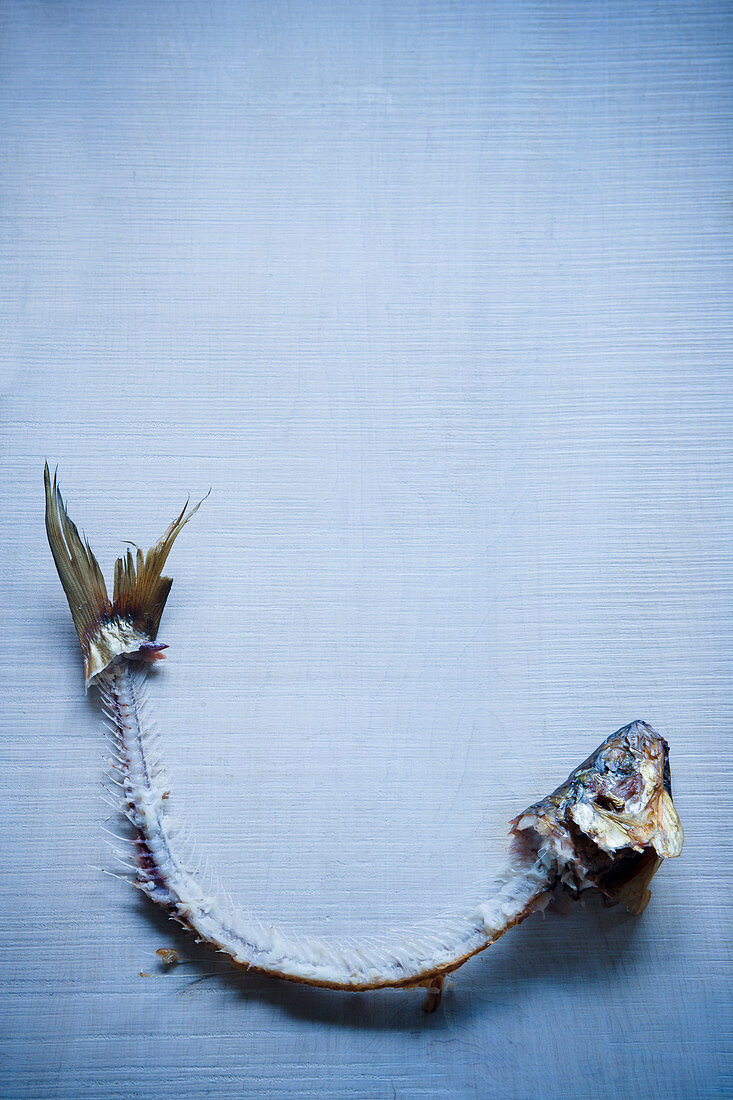 A smoked fish carcass