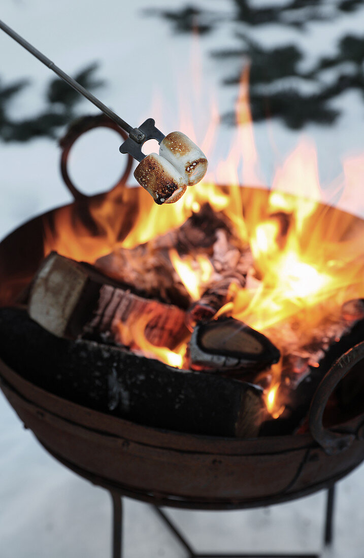 Marshmallows grillen