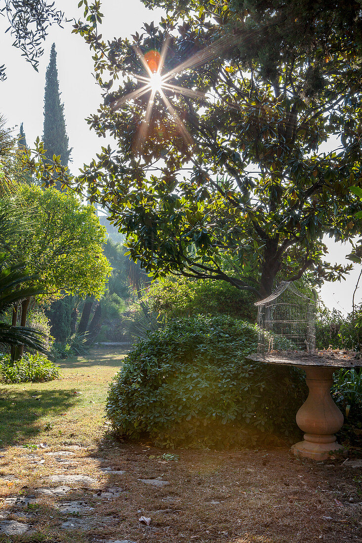 Birdcage on pedestal table in Mediterranean garden