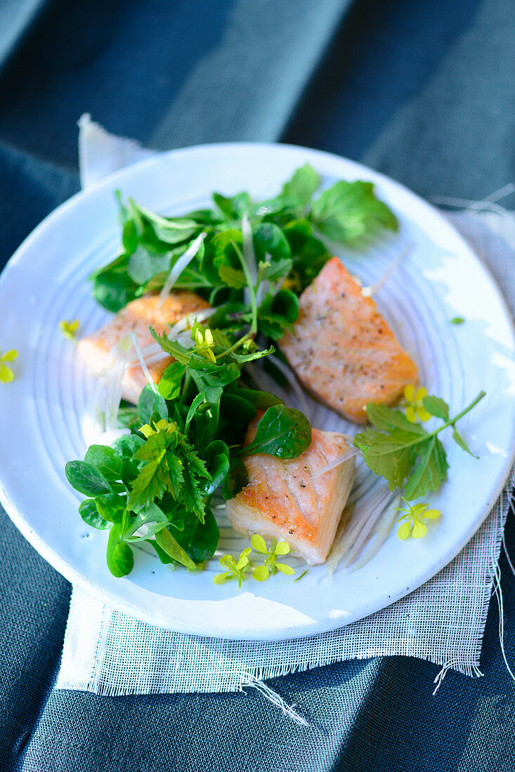 Mustard salad with wild salmon