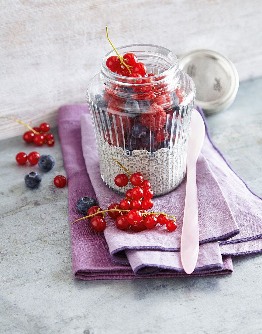 Chia-Beeren-Joghurt mit Vanille (Low Carb)