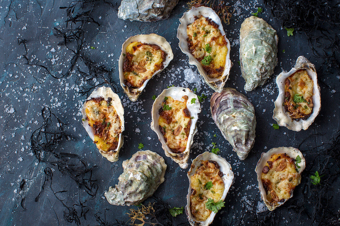 Gegrillte Austern mit Bechamelsauce, geriebenem Käse, Knoblauch und Petersilie