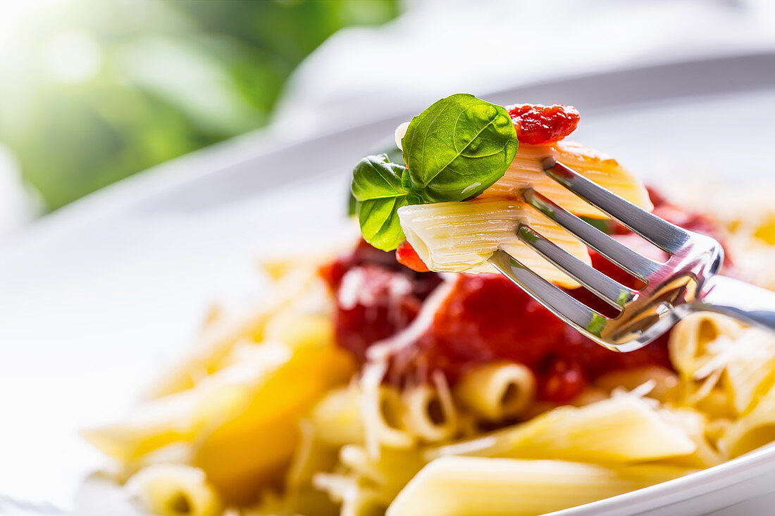 Penne with tomato sauce and basil (close-up)