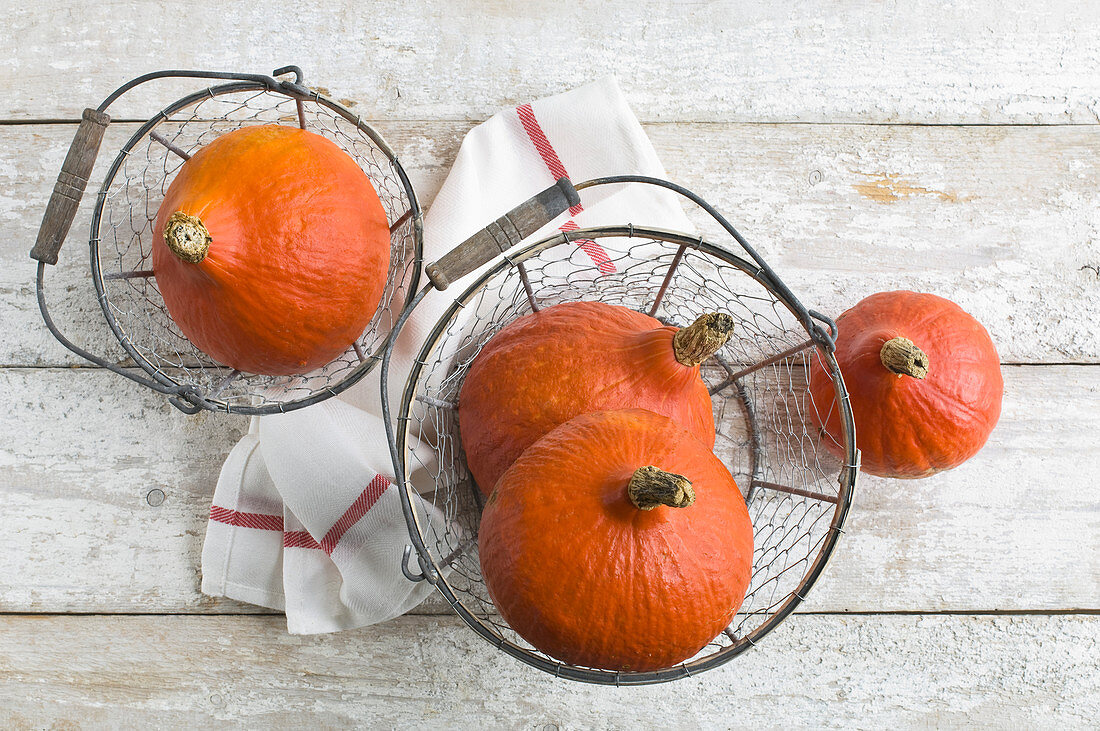 Hokkaido gourds in a wire basket