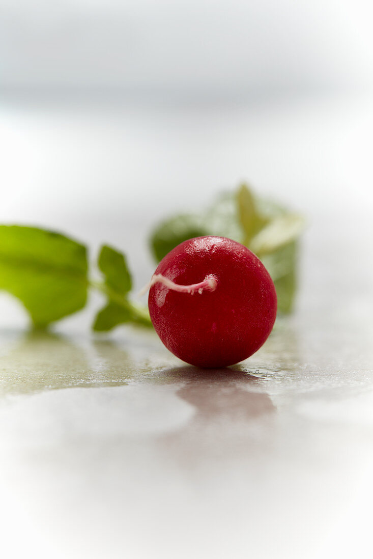 A radish with leaves