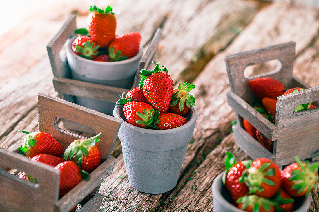 Fresh strawberries in mini crates and clay pots