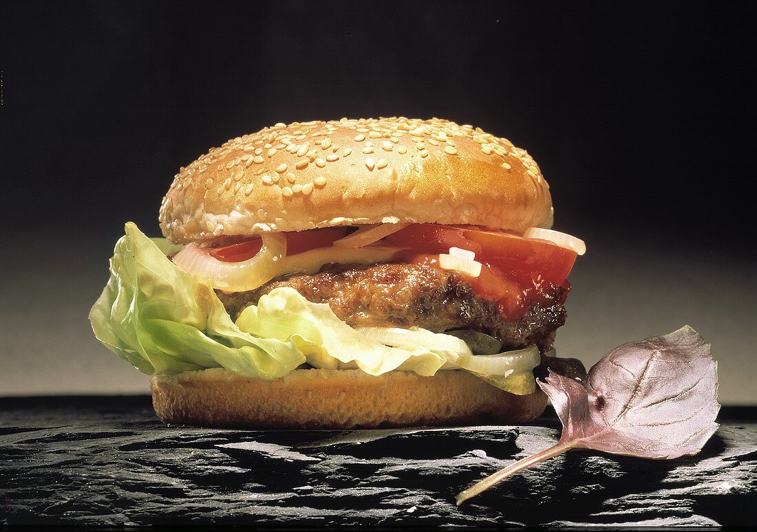 Hamburger with Lettuce and Tomato