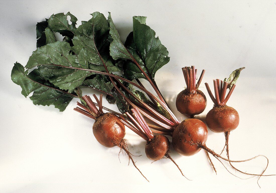 Five Red Beets with Greens