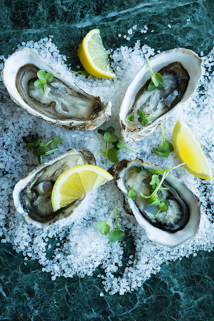 Fresh oysters with lemon on salt