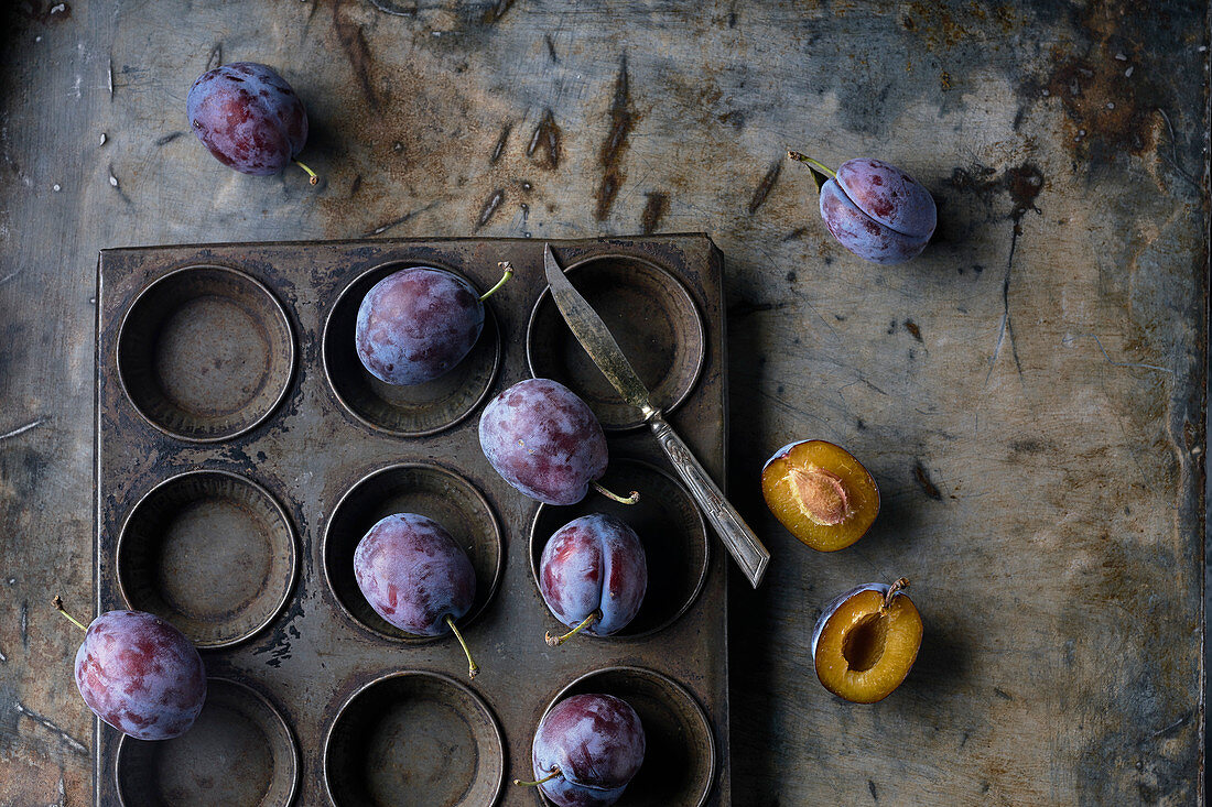 Still life of plums Bleue de Belgique on a zinc background