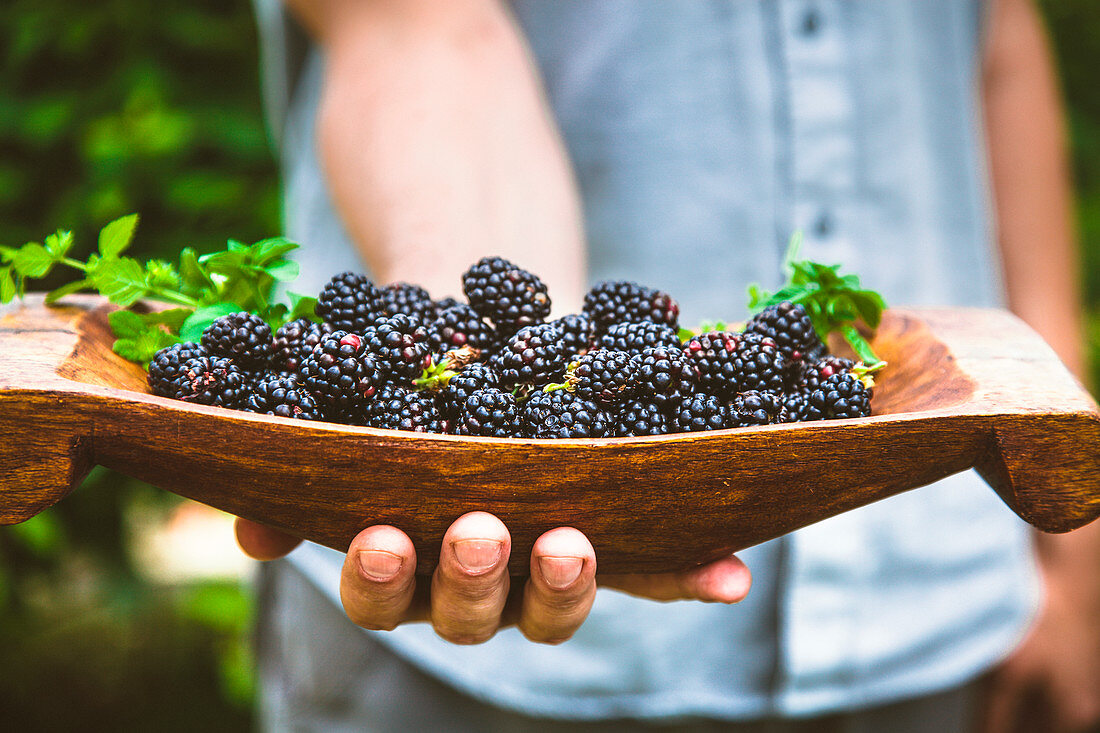 A person holding fresh blackberries in a wooden bowl