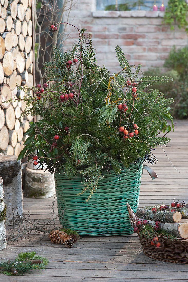 Fir branches bouquet in the basket