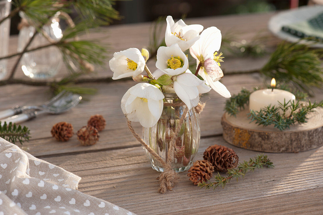 Small bouquet of Christmas roses - flowers