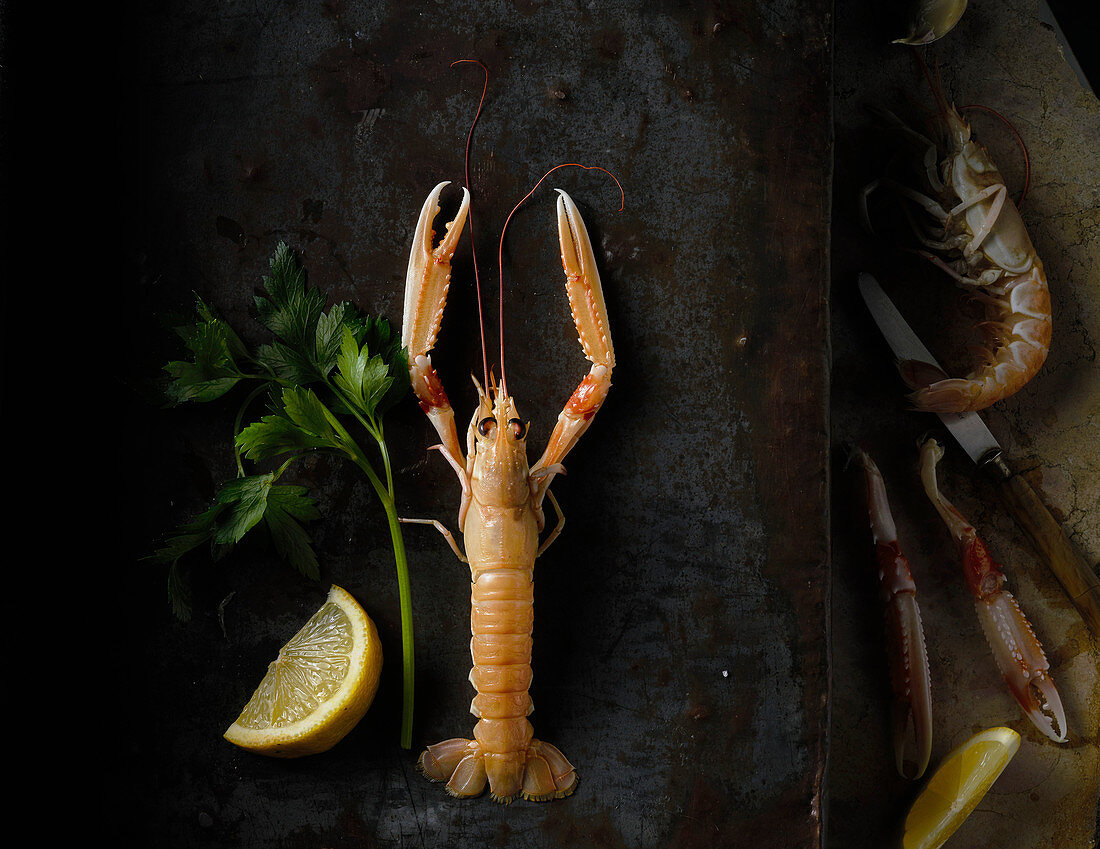 Langoustines with lemon, parsley and olive oil