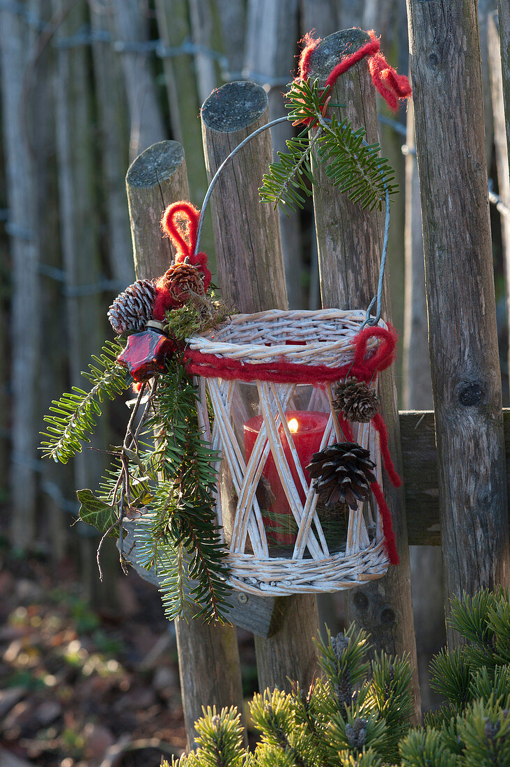 Christmas lantern on the garden fence