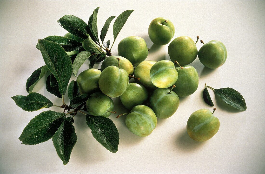 Several Green Plums