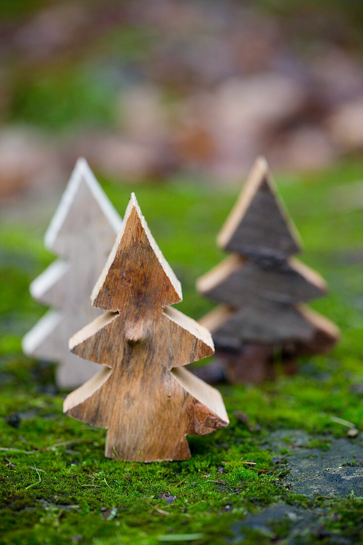 Ausgesägte Tannenbäumchen auf Moos als Miniatur-Wald