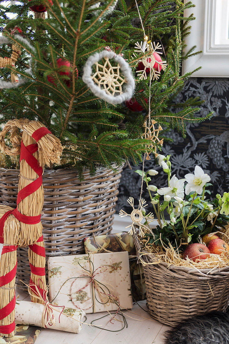 Weihnachtsbaum mit Strohfiguren, Korb mit Christrose und Geschenke