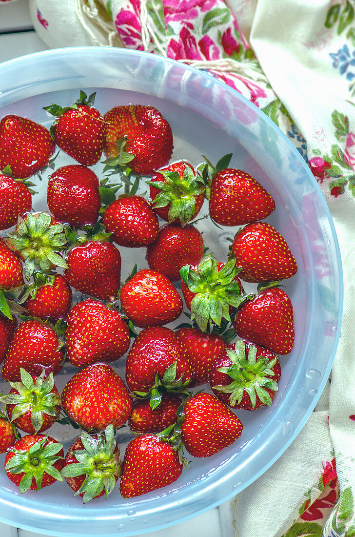 Frische Erdbeeren in Wasserschüssel