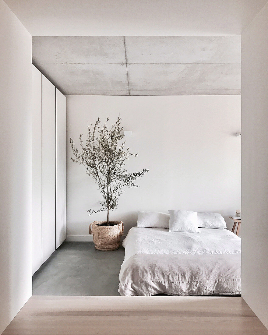 Blick ins minimalistische Schlafzimmer mit Doppelbett, Zimmerbäumchen und Schrank