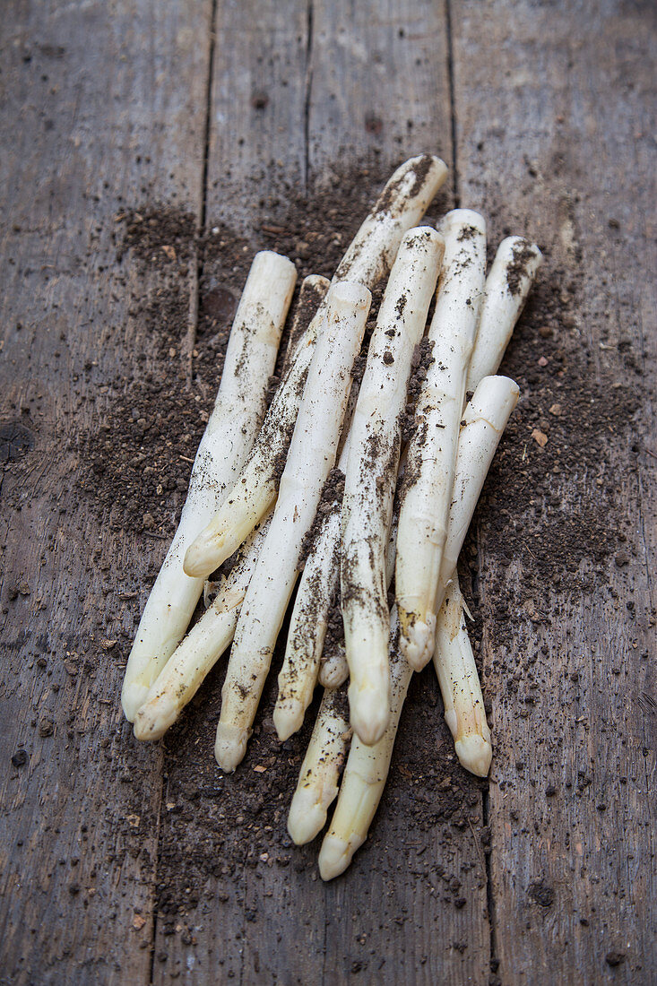White asparagus with soil on a wooden background