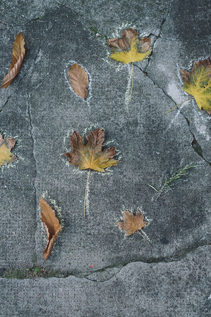 Autumn leaves with chalk on a concrete floor