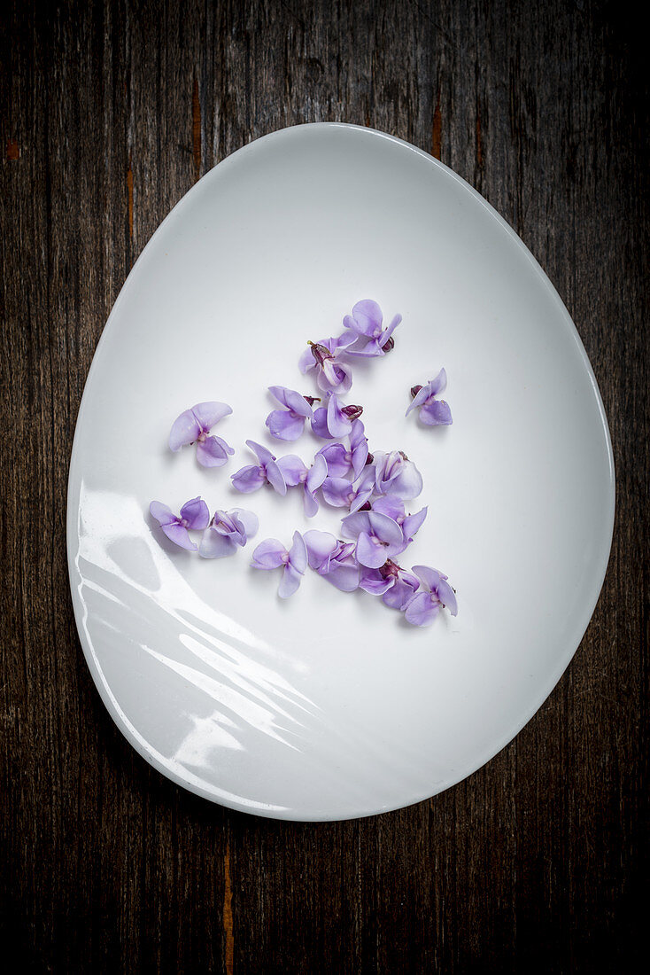 Bean Blossom on a White Plate