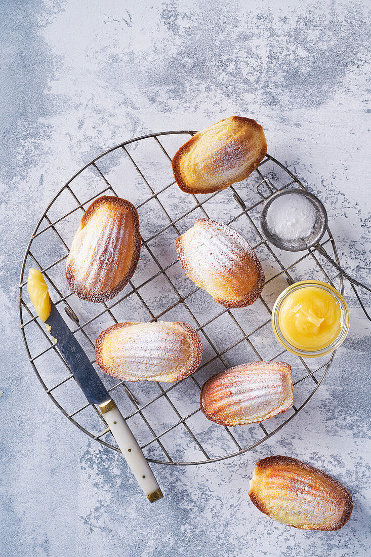 Madeleines with lemon curd and icing sugar, light background