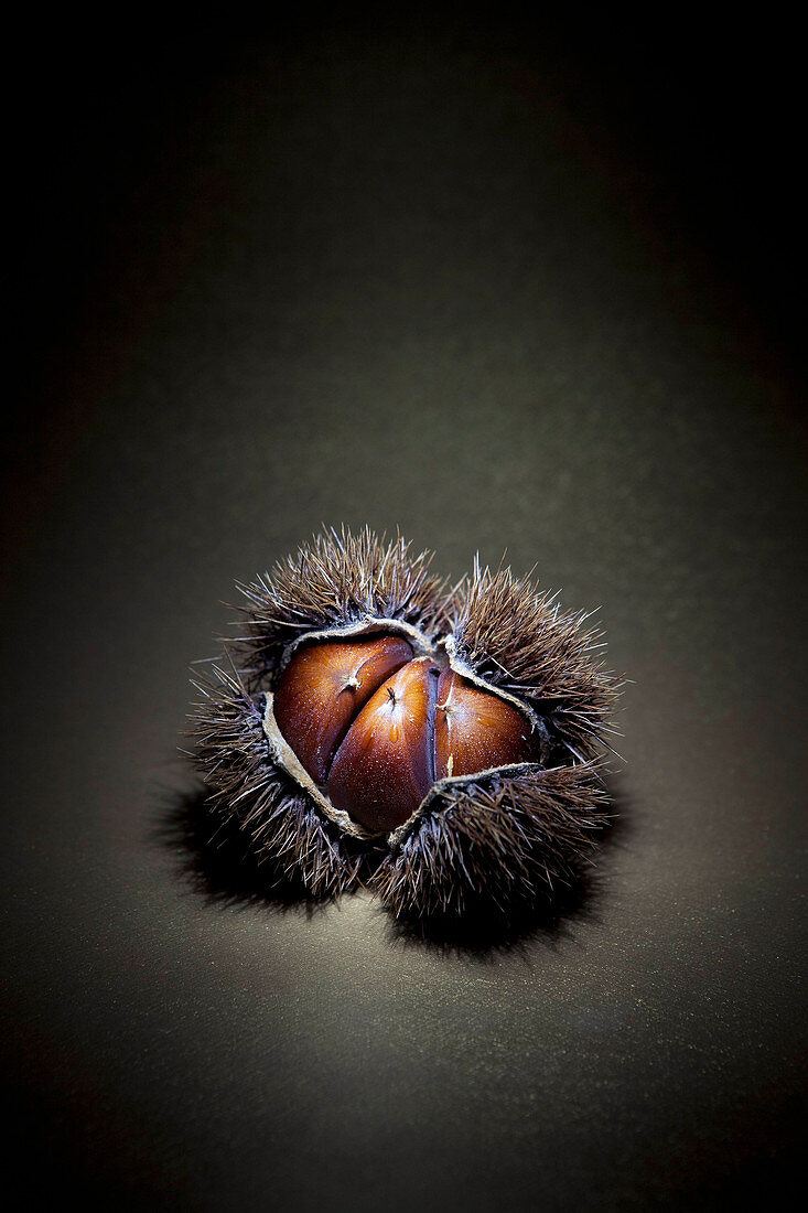 Chestnuts with the shell