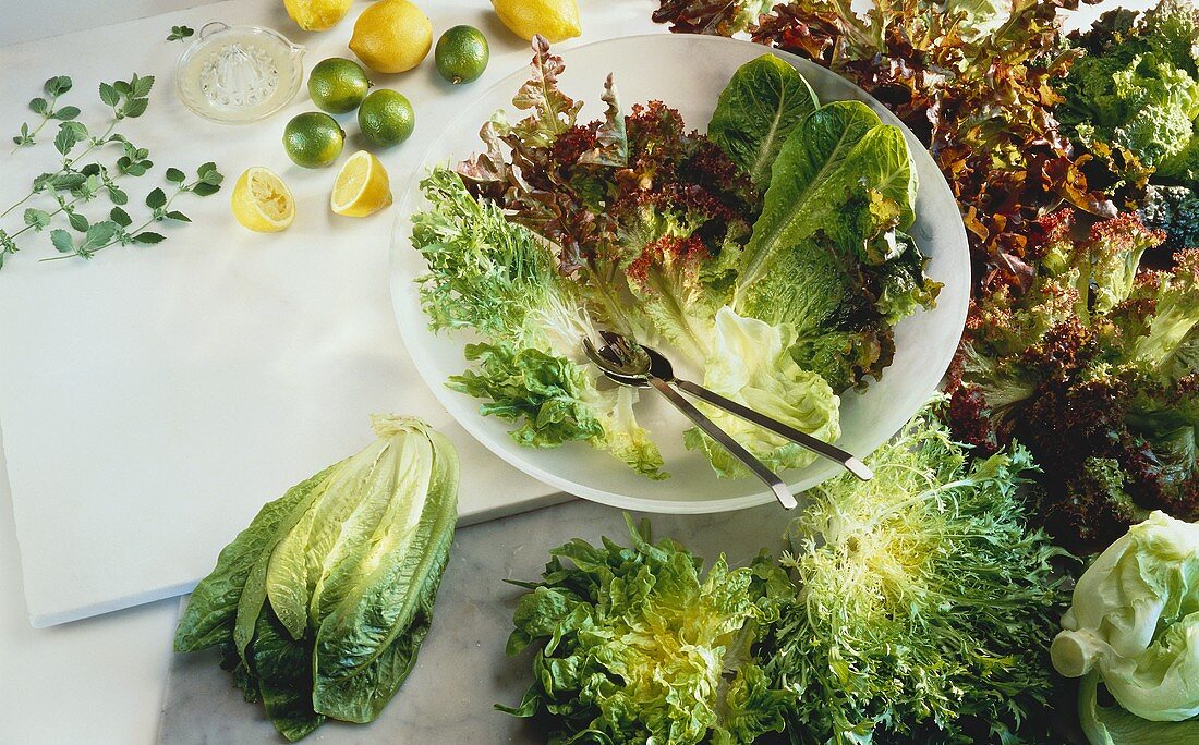 Stillleben mit Blattsalaten in Schüssel, Deko: Salatzutaten