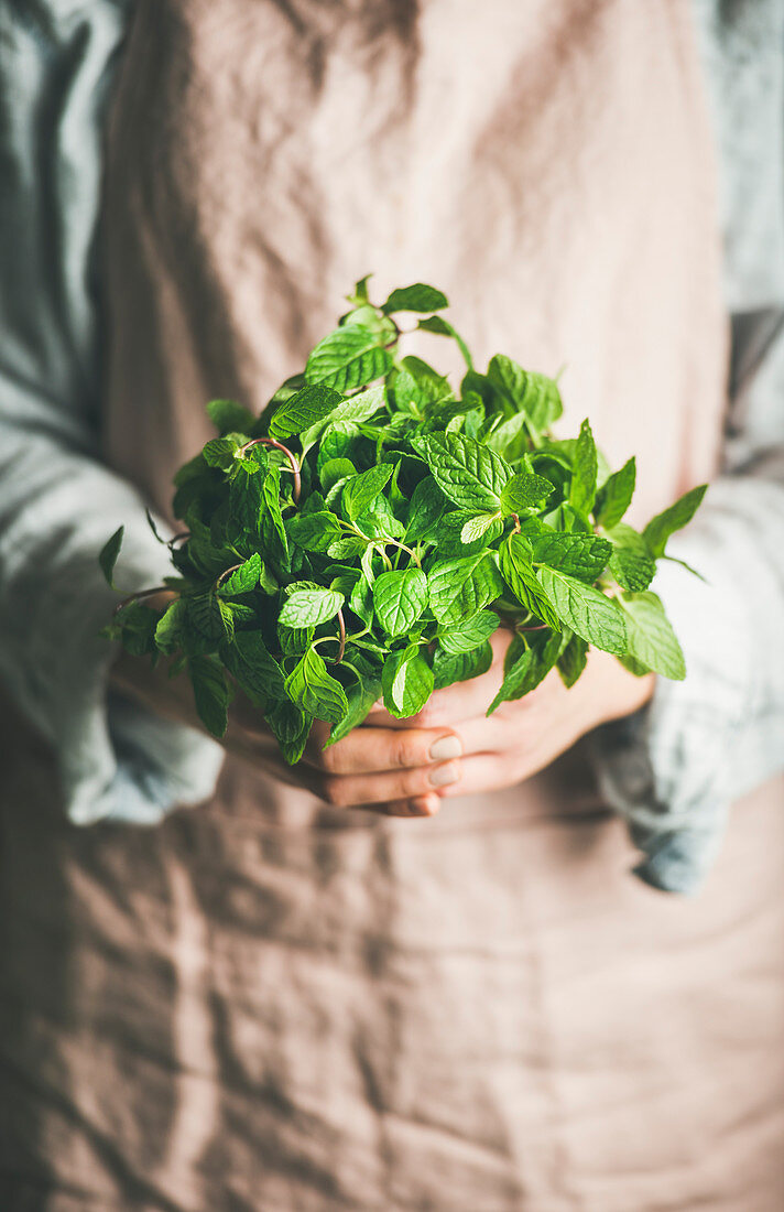 Female farmer wearing pastel linen apron and shirt hold bunch of fresh green mint in her hands