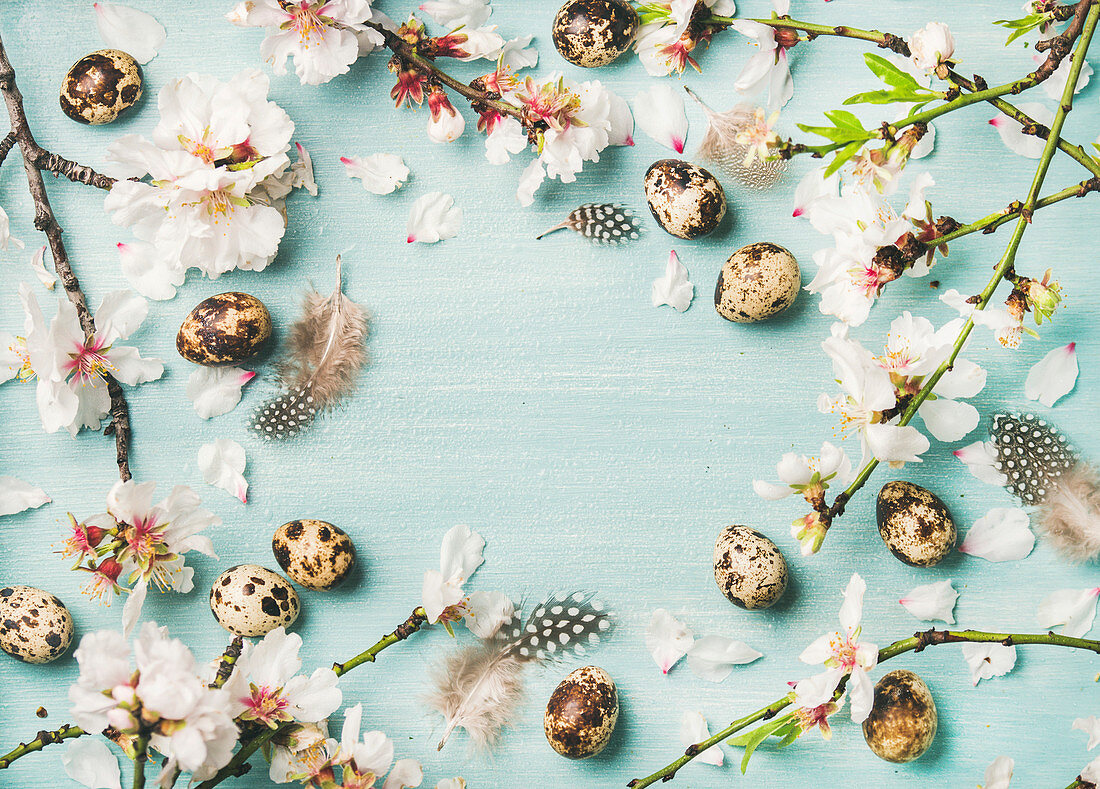 Branches of almond blossom, quail eggs and feathers framing light blue background