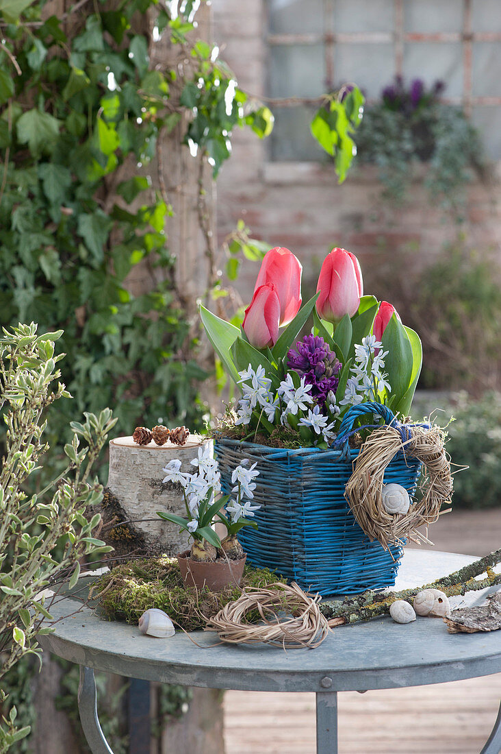 Tulip, Blue Oysters And Hyacinth In The Basket