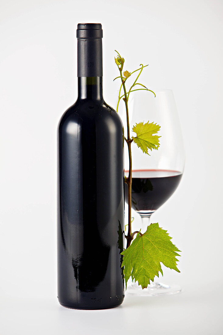 A bottle of red wine, a glass of red wine and a vine sprig